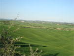 gal/2010/08 - Primavera_Estate_2010/_thb_ville_petroni1-01.jpg